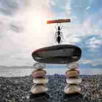 智‍能‌ai助﻿手﻿app下​载‌