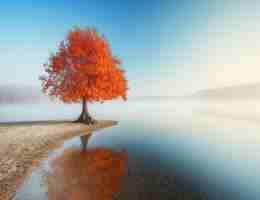 如‍何‍建‌立‌外​部﻿链﻿接‌